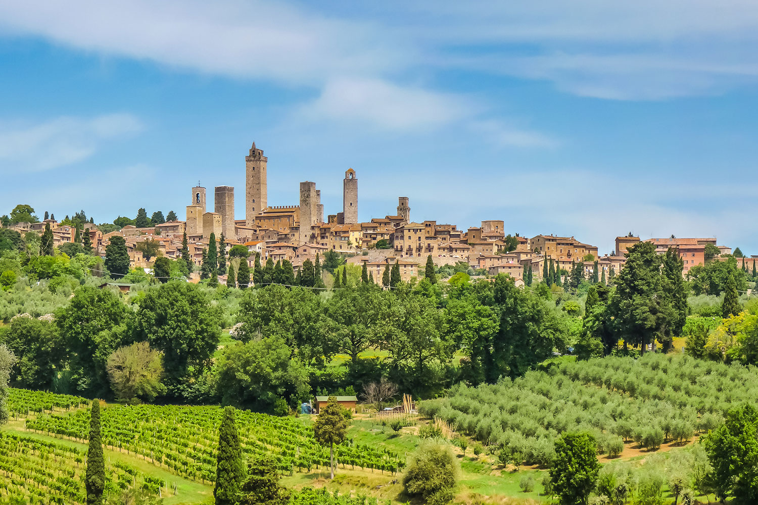 san-gimignano-altezza-winery