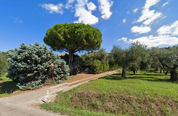 bolgheri