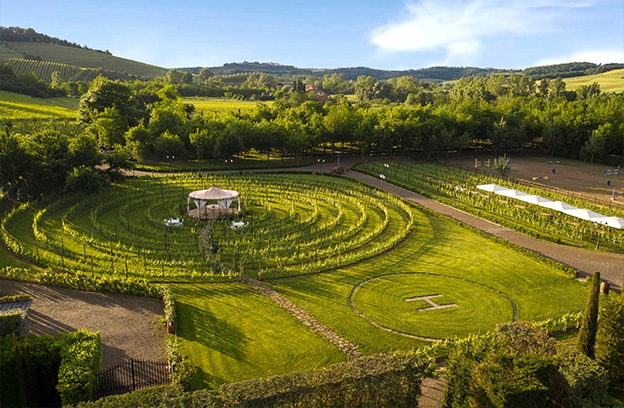 tenutatorcianowinery